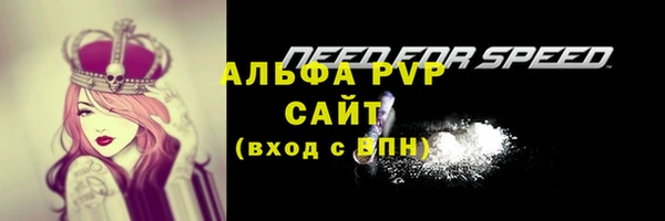 ПСИЛОЦИБИНОВЫЕ ГРИБЫ Беломорск