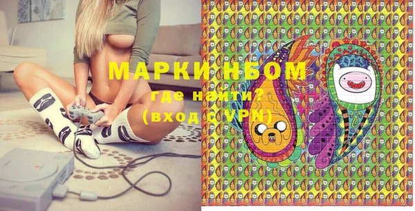 ГАЛЛЮЦИНОГЕННЫЕ ГРИБЫ Гусь-Хрустальный