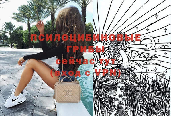 ПСИЛОЦИБИНОВЫЕ ГРИБЫ Беломорск